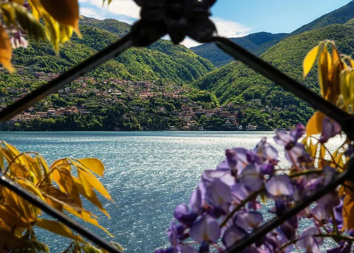 Darsena By Quokka 360 - Access To Brienno